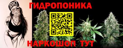 гидропоника Канаш