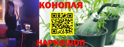 мяу мяу мука Камышлов
