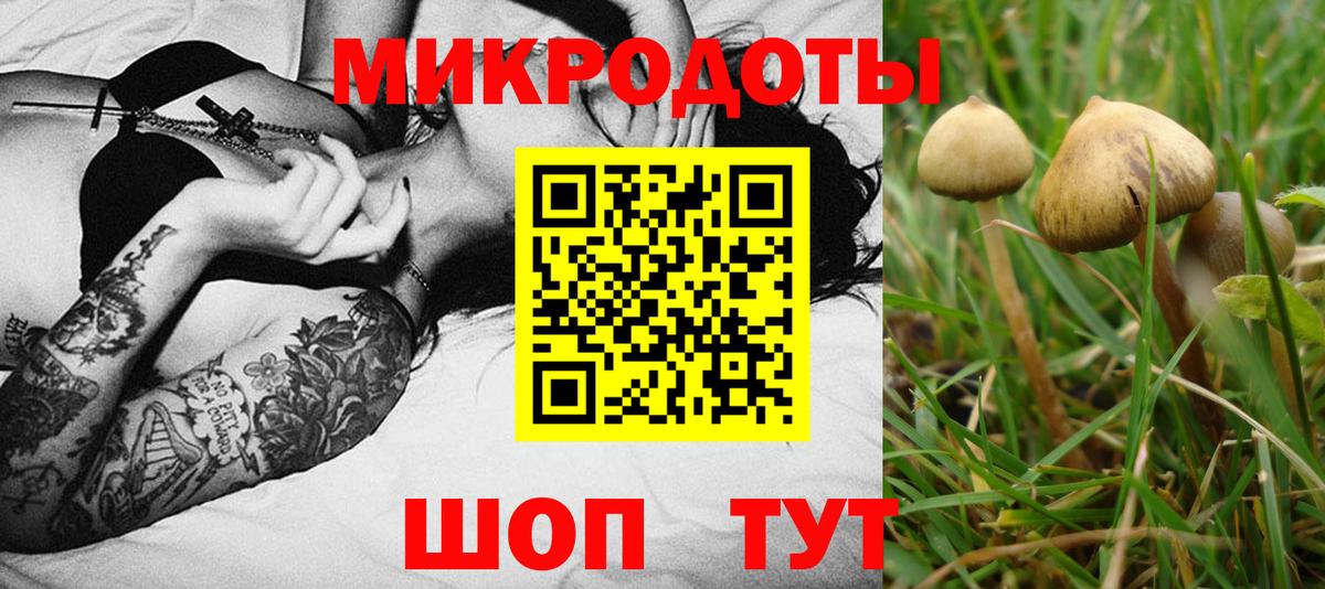 Псилоцибиновые грибы мицелий  Вход с VPN  Псилоцибиновые грибы GOLDEN TEACHER  Вологда 
